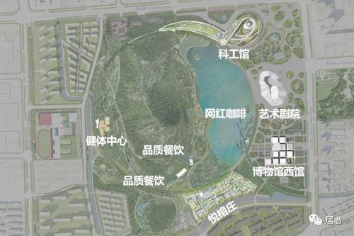 狮山最新爆料,揭秘神秘项目背后的惊人真相